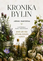 Kronika bylin