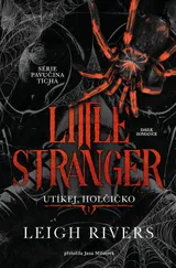 Little Stranger: Utíkej, holčičko