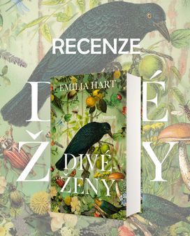 Recenze titulu Divé ženy od Emilie Hart