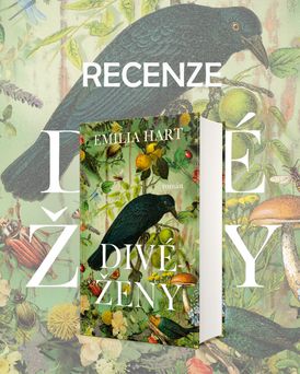 Recenze titulu Divé ženy od Emilie Hart