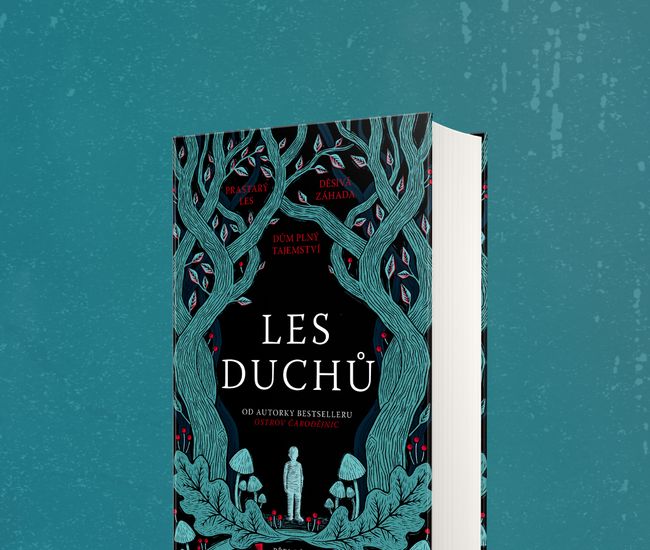 Rozhovor s Julií Teslou, překladatelkou titulů Les duchů a Blackwater: kniha první