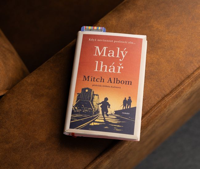 Recenze titulu Malý lhář